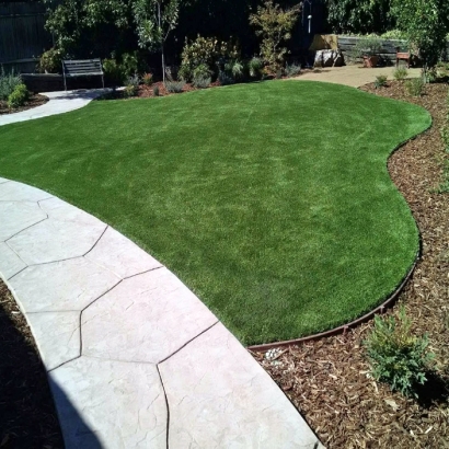 Synthetic Turf Camp Pendleton South, California Lawn And Garden, Front Yard