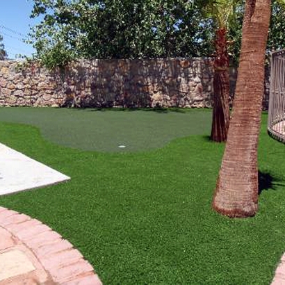 Synthetic Turf Chula Vista, California Lawn And Garden, Backyard