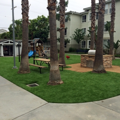 Synthetic Turf Escondido, California Landscape Design, Commercial Landscape