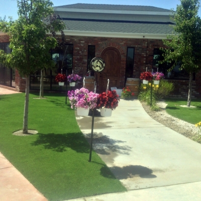 Synthetic Turf Eucalyptus Hills, California Garden Ideas, Commercial Landscape