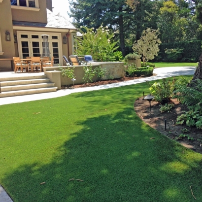 Synthetic Turf Lake San Marcos, California Backyard Deck Ideas, Backyards