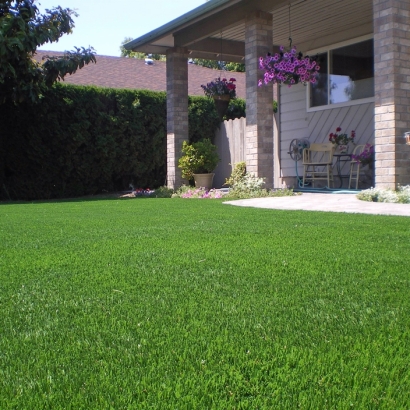 Synthetic Turf Lakeside, California Design Ideas, Front Yard