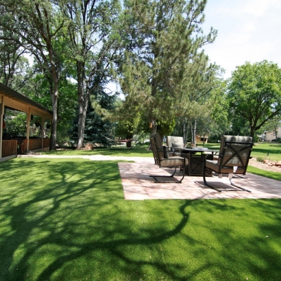 Synthetic Turf Lakeside, California Landscape Rock, Backyard Landscaping Ideas