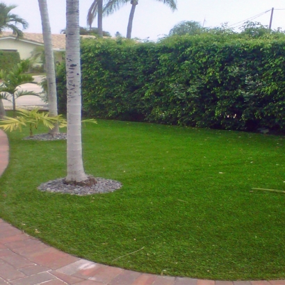 Synthetic Turf National City, California Lawn And Landscape, Front Yard Landscaping Ideas