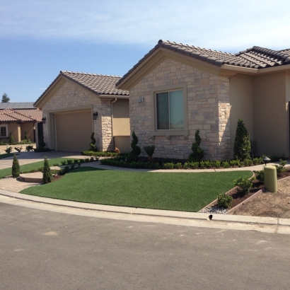 Synthetic Turf Pine Valley, California Lawns, Front Yard Design