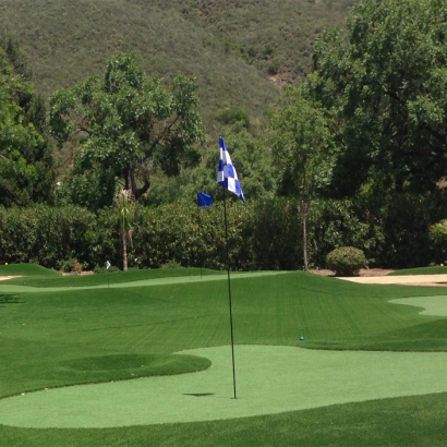 Synthetic Turf Rancho San Diego, California Lawn And Garden