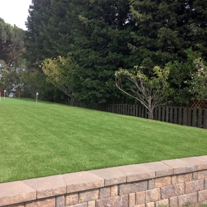 Synthetic Turf Supplier Encinitas, California Indoor Putting Green, Backyard Design