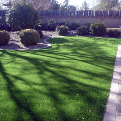 Synthetic Turf Supplier La Mesa, California Landscape Ideas, Small Front Yard Landscaping