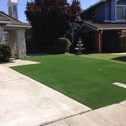 Synthetic Turf Supplier La Presa, California Landscape Ideas, Small Front Yard Landscaping