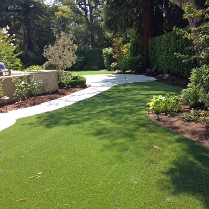 Synthetic Turf Supplier Lakeside, California Landscaping, Beautiful Backyards