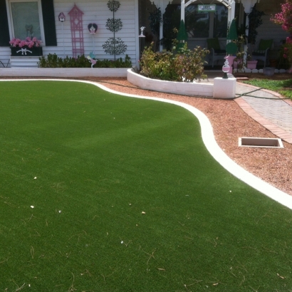 Synthetic Turf Supplier Pine Valley, California Landscape Ideas, Front Yard Ideas