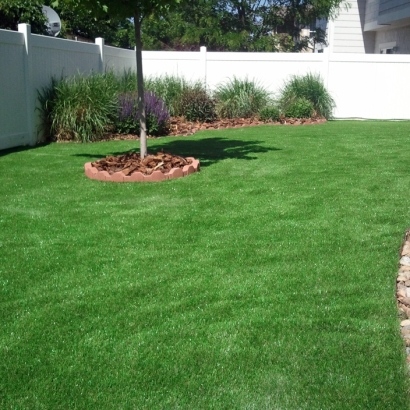 Synthetic Turf Supplier San Marcos, California City Landscape, Beautiful Backyards