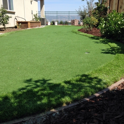 Turf Grass Carlsbad, California Garden Ideas, Backyards