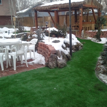 Turf Grass Escondido, California Landscape Rock, Backyard Landscaping Ideas