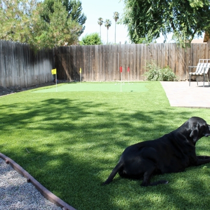 Turf Grass Harbison Canyon, California Dog Parks, Backyard Makeover