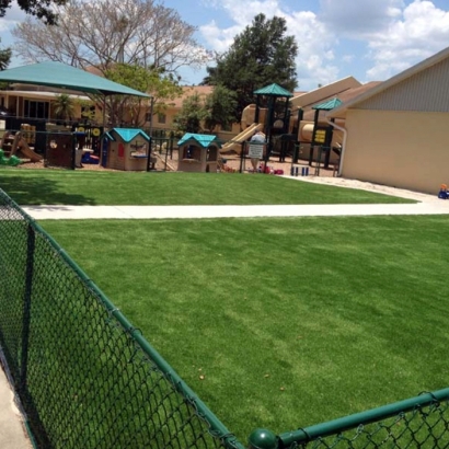 Turf Grass Jacumba, California Roof Top, Commercial Landscape