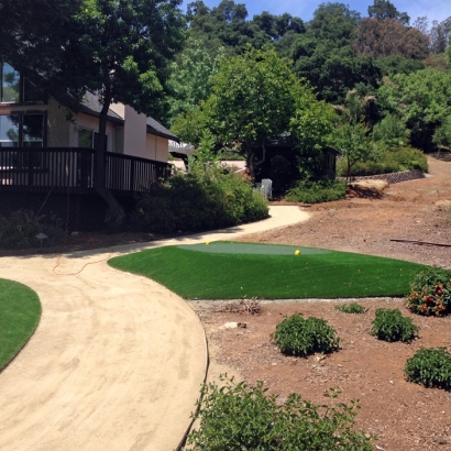 Turf Grass Lakeside, California Indoor Putting Greens, Front Yard Ideas