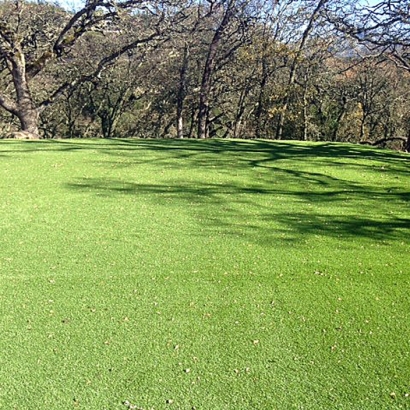 Turf Grass Mount Laguna, California Landscaping Business, Recreational Areas