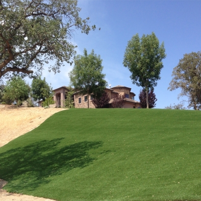 Turf Grass National City, California Landscape Design, Small Front Yard Landscaping