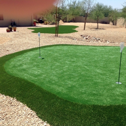 Turf Grass Rancho San Diego, California Artificial Putting Greens, Backyards