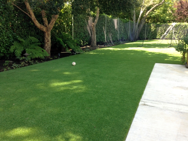 Artificial Grass Camp Pendleton South, California Indoor Dog Park