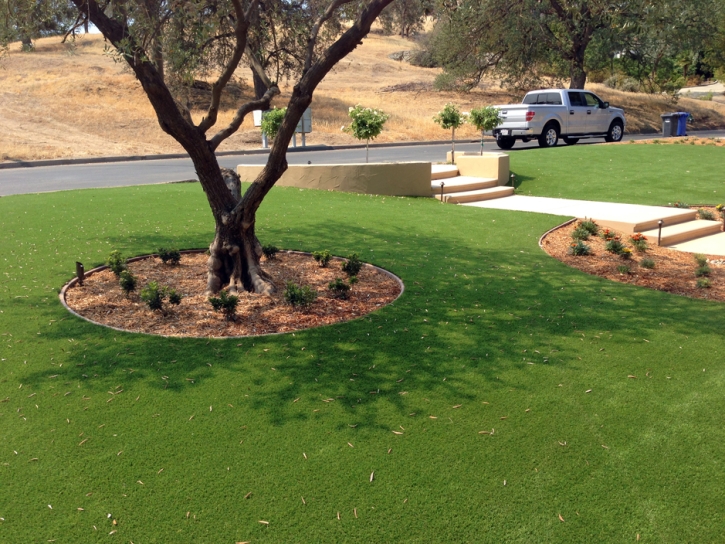 Artificial Grass Carpet Borrego Springs, California Landscape Rock, Front Yard Landscaping Ideas