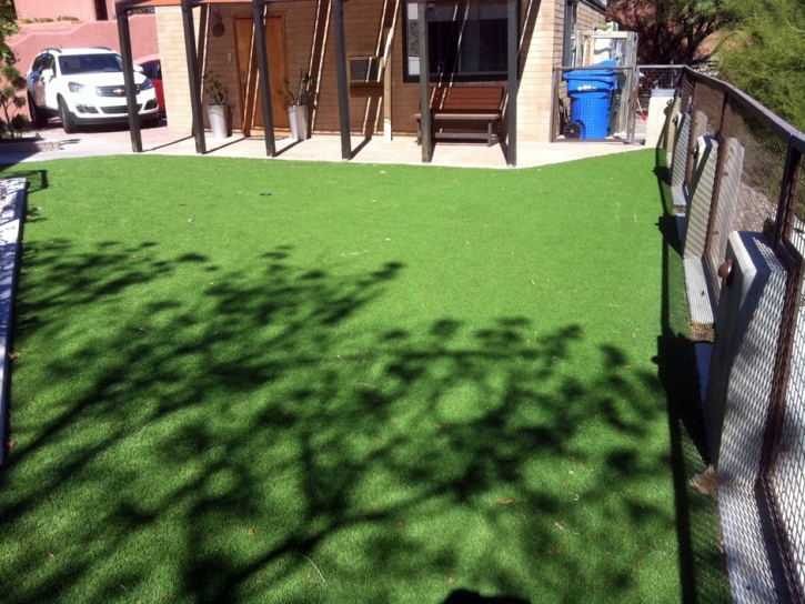 Artificial Grass Carpet Borrego Springs, California Landscape Ideas, Beautiful Backyards