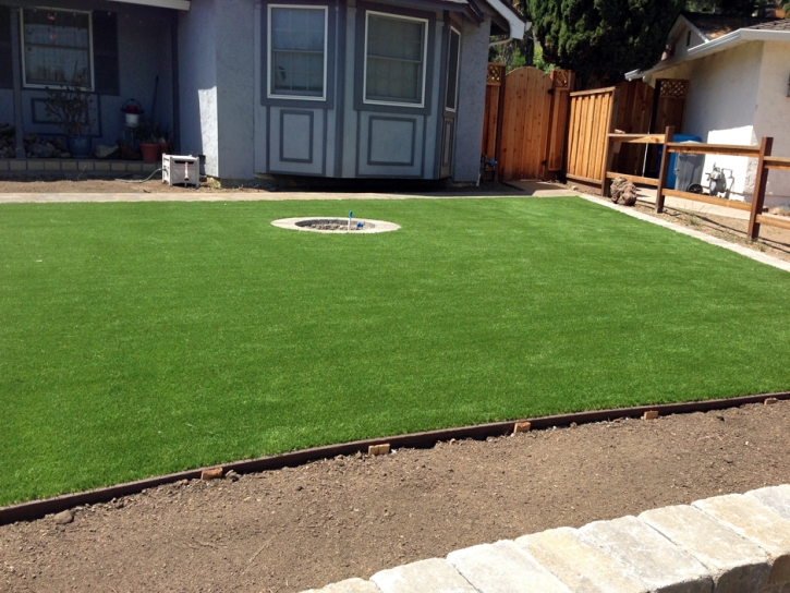 Artificial Grass Carpet Campo, California Design Ideas, Landscaping Ideas For Front Yard