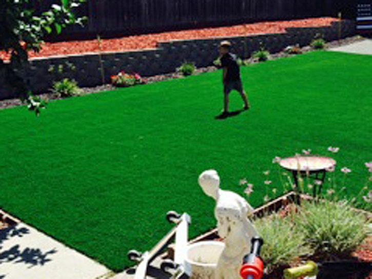 Artificial Grass Carpet El Cajon, California Landscaping Business, Backyard Landscape Ideas