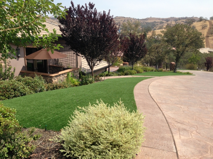 Artificial Grass Carpet Eucalyptus Hills, California Landscape Ideas, Front Yard Design