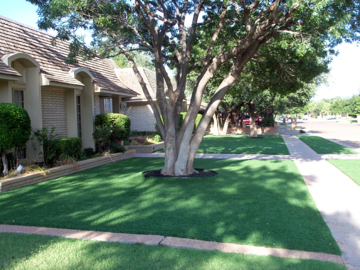 Artificial Grass Carpet Imperial Beach, California Landscape Ideas, Front Yard Landscaping Ideas