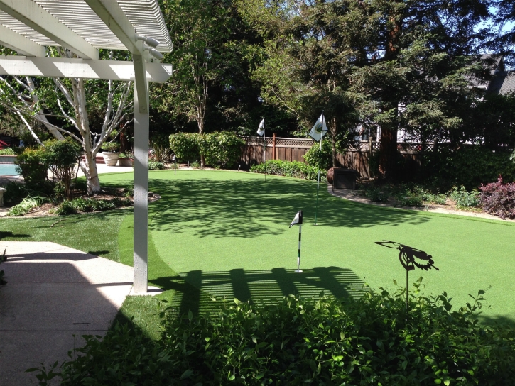 Artificial Grass Carpet Imperial Beach, California Lawn And Landscape