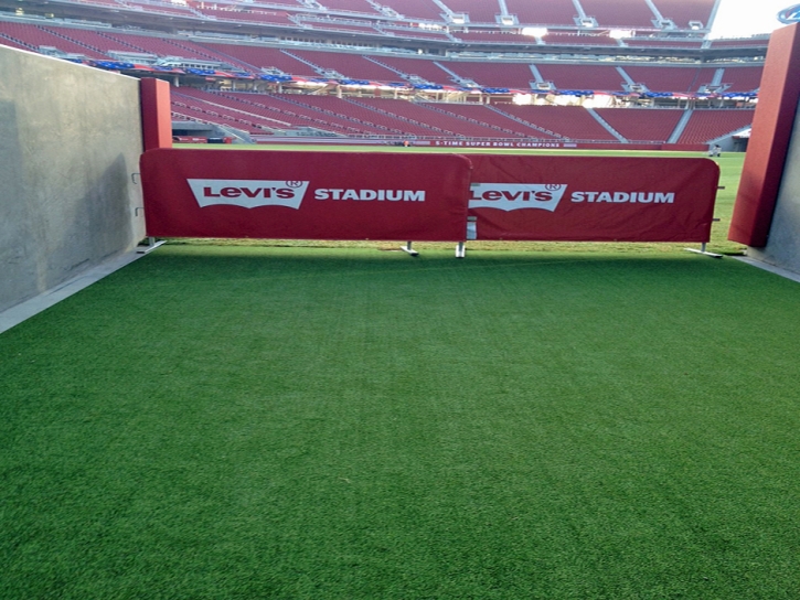 Artificial Grass Carpet Potrero, California Sports Turf