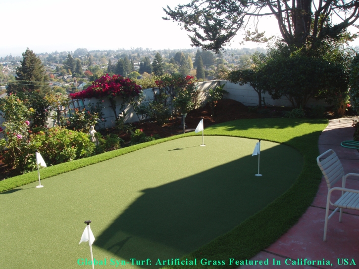 Artificial Grass Carpet Rancho San Diego, California Roof Top, Small Backyard Ideas