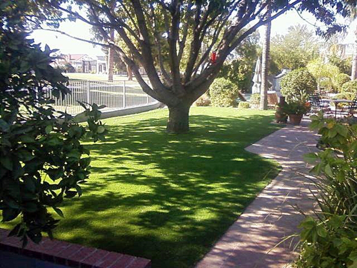 Artificial Grass Carpet San Marcos, California Landscape Rock