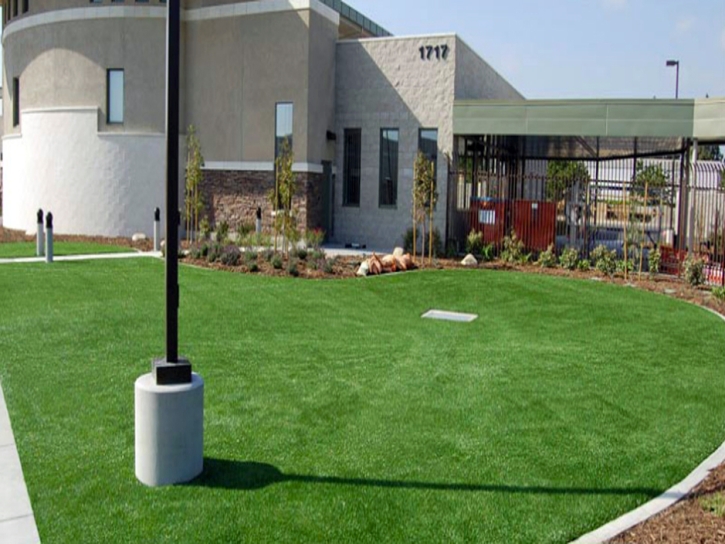 Artificial Grass Carpet Santee, California Roof Top, Commercial Landscape
