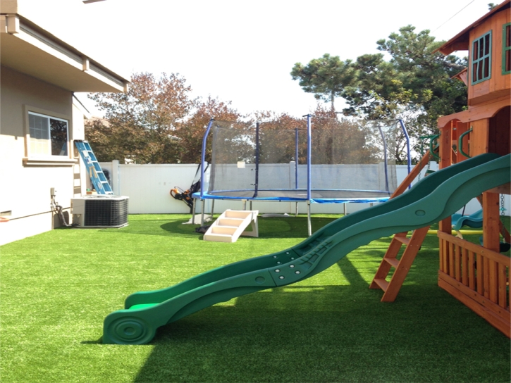 Artificial Grass Carpet Santee, California Gardeners, Backyard Landscaping Ideas