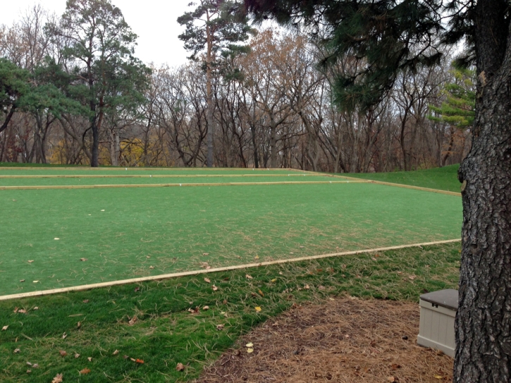 Artificial Grass Carpet Santee, California Backyard Soccer