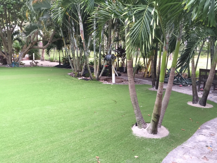 Artificial Grass Carpet Spring Valley, California Backyard Deck Ideas, Commercial Landscape