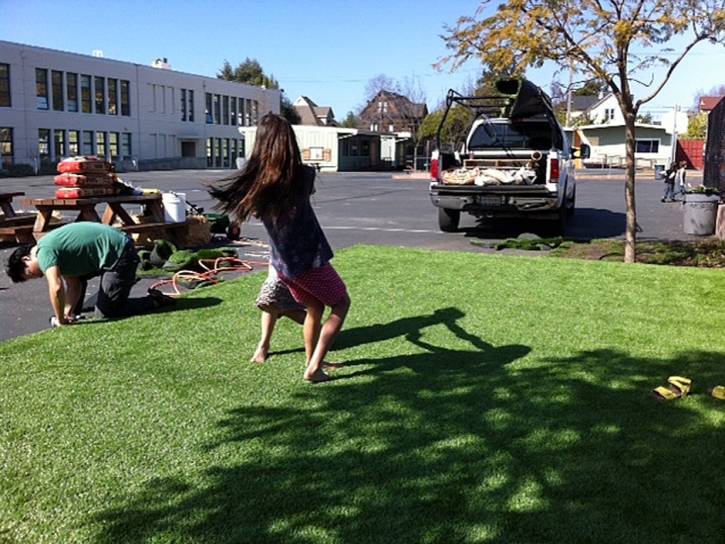 Artificial Grass Del Mar, California Garden Ideas, Commercial Landscape
