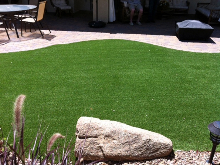 Artificial Grass Fallbrook, California Dog Parks, Backyards