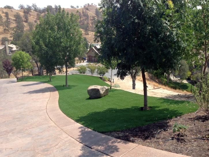Artificial Grass Installation Borrego Springs, California Gardeners, Front Yard Design