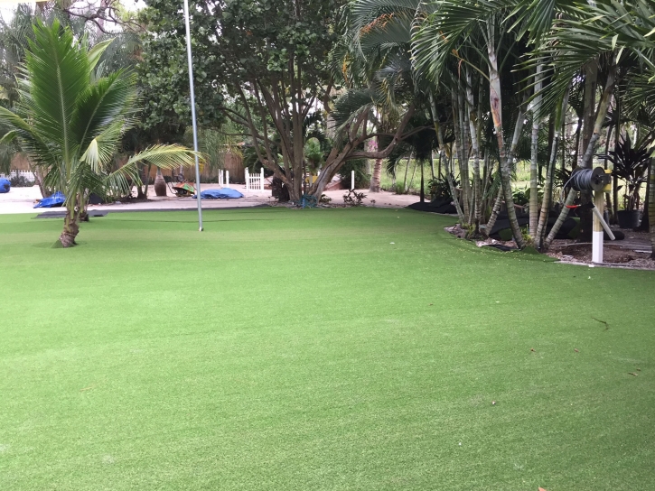 Artificial Grass Installation El Cajon, California Backyard Deck Ideas, Commercial Landscape