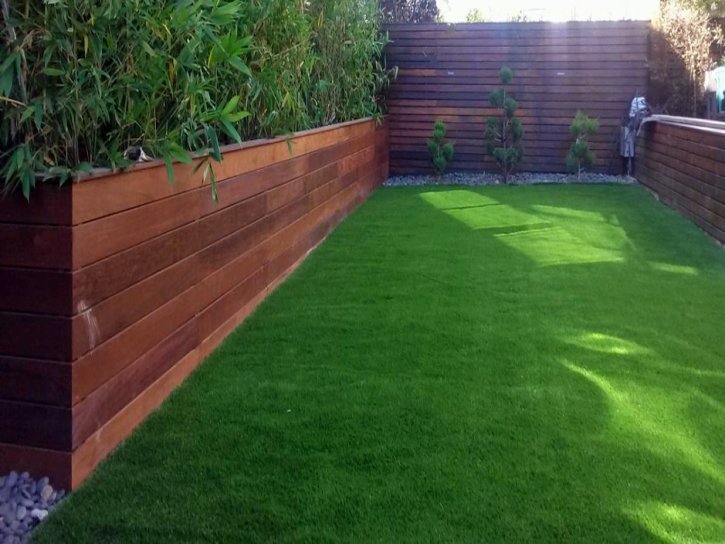 Artificial Grass Installation Encinitas, California Landscape Photos, Backyard Landscape Ideas