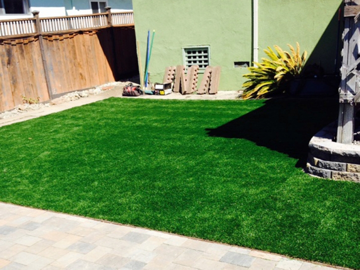 Artificial Grass Installation Lakeside, California Dog Run, Backyards