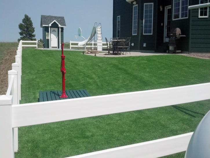 Artificial Grass Installation Poway, California Roof Top, Front Yard Landscape Ideas