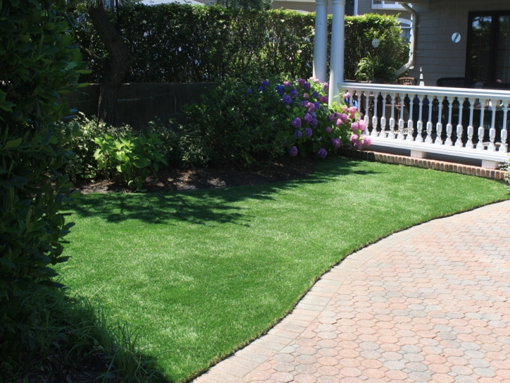 Artificial Grass La Presa, California Fake Grass For Dogs, Front Yard Ideas