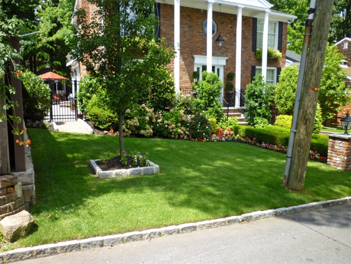 Artificial Grass Pine Valley, California Rooftop, Front Yard Ideas