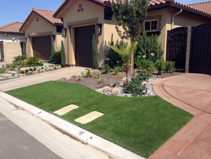 Artificial Grass Ramona, California Lawns, Front Yard Landscape Ideas