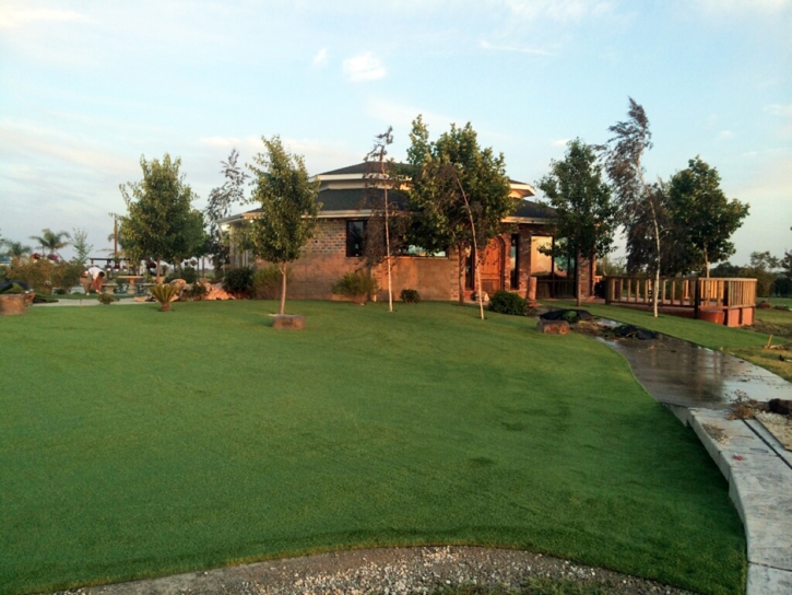Artificial Grass Solana Beach, California Landscaping, Commercial Landscape